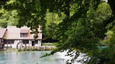 Blaubeuren 'deki Blautopf' ta alabalık çekiç fabrikası.
