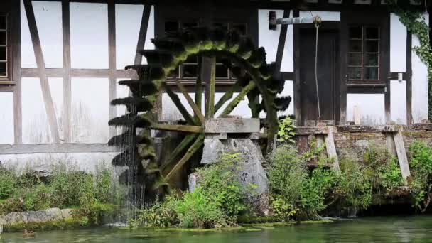 Pisztrángkalapács Malom Blaubeurenben Blautopfnál — Stock videók