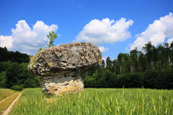 Wohlmuethshll 'nin Hoodoo Kayası