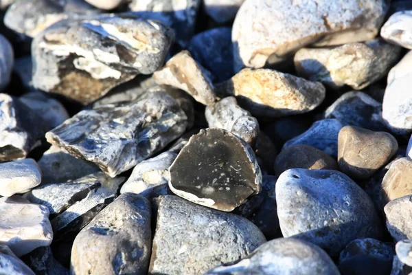 Smal Hed Med Flintfält — Stockfoto