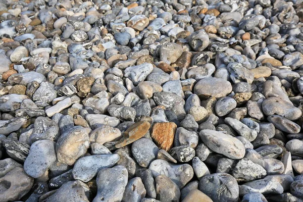 Smal Hed Med Flintfält — Stockfoto