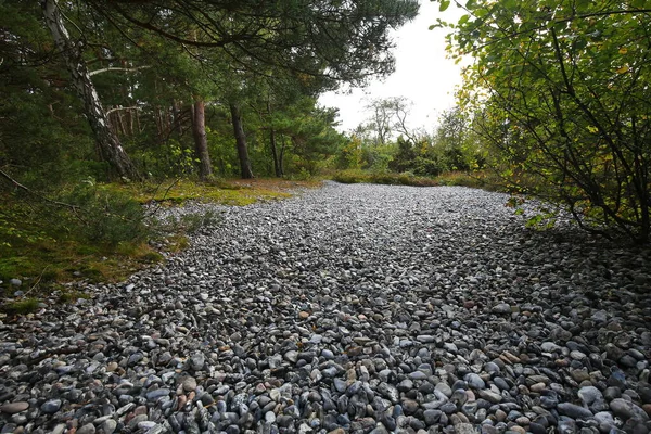 Narrow Heath Flint Fields — Stock Photo, Image