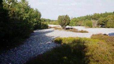Rgen 'de çakmaktaşı tarlaları olan dar fundalık
