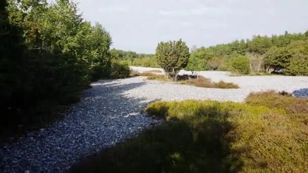 Estrecho Brezal Con Campos Pedernal Rgen — Vídeo de stock