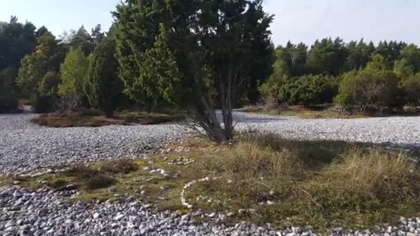 Rgen Çakmaktaşı Tarlaları Olan Dar Fundalık — Stok video