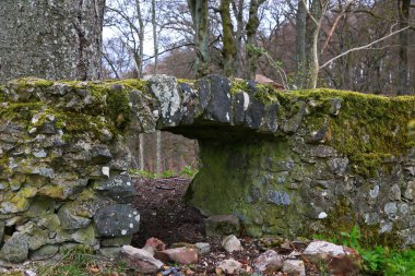 Wildenberg şatosu harabeleri Sulzfeld belediyesinde bir manzaradır.