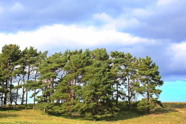 Baltık Denizi 'ndeki Ruegen Adası' nın rüya gibi manzarası.