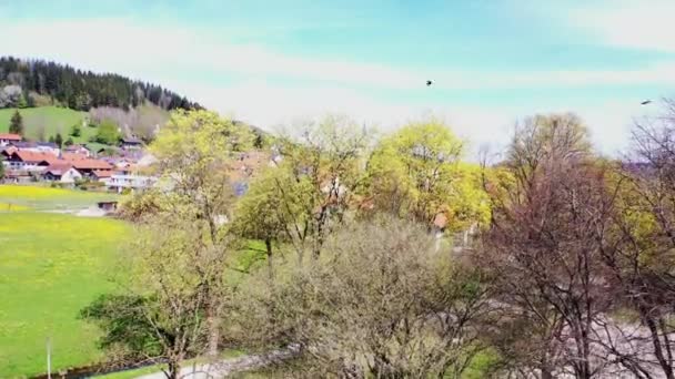 Drone Video Peiting Good Weather — Stockvideo