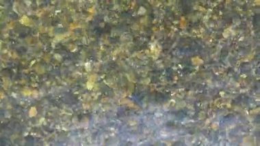 İyi havada Neu-Ulm yakınlarındaki Iller 'de İHA uçuşu.