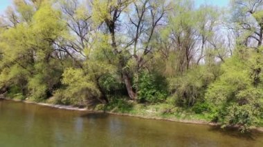 Ulm Minster manzaralı Neu-Ulm yakınlarındaki Iller 'de İHA uçuşu.