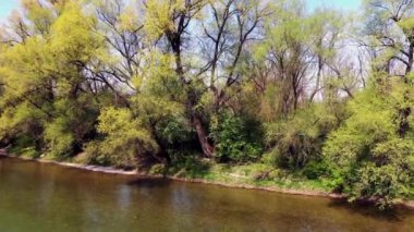 Ulm Minster manzaralı Neu-Ulm yakınlarındaki Iller 'de İHA uçuşu.