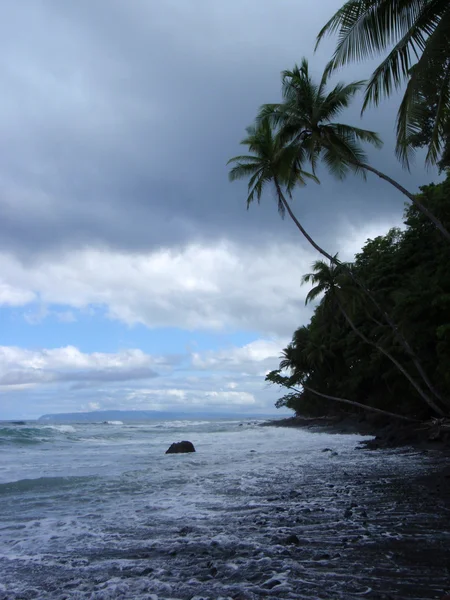 Praia em tempo nublado ao amanhecer em Punta Banco, Costa Rica, Cen — Fotografia de Stock