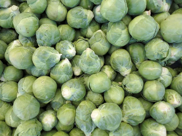 Pile of Brussel Sprouts — Stock Photo, Image