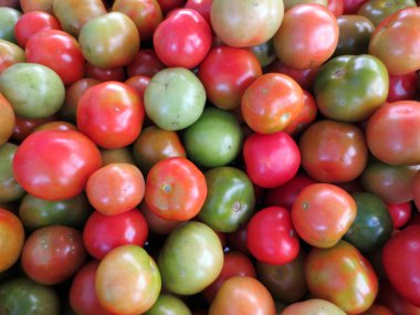 domates, portakal, kırmızı ve yeşil renk