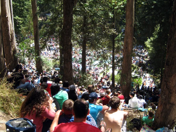 Multidão de espectáculos de vigia na floresta — Fotografia de Stock