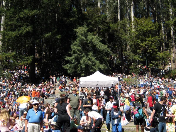 Gran multitud en el concierto al aire libre disfrutando del espectáculo mezclándose con — Foto de Stock