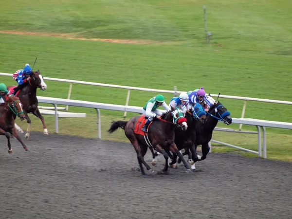 Caii cursa pistă rotundă cu 3 în față de alergare gât și gât — Fotografie, imagine de stoc