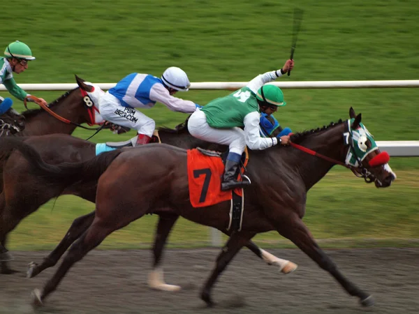 Jockey strekker ut en arm for å piske hester. – stockfoto