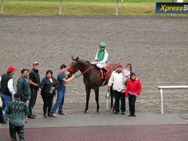 Jóquei e Cavalo proprietários posar com cavalo depois de ganhar corrida — Fotografia de Stock