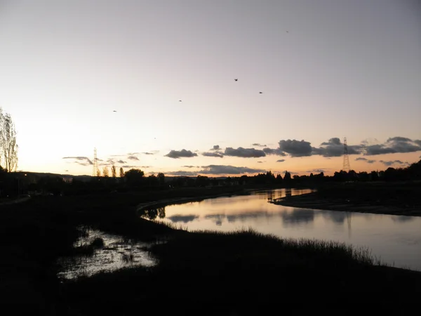 Atardecer junto al río con aves volando en el cielo — Foto de Stock