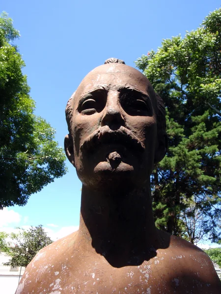 何塞·马尔蒂脸雕像在一个公园 — 图库照片
