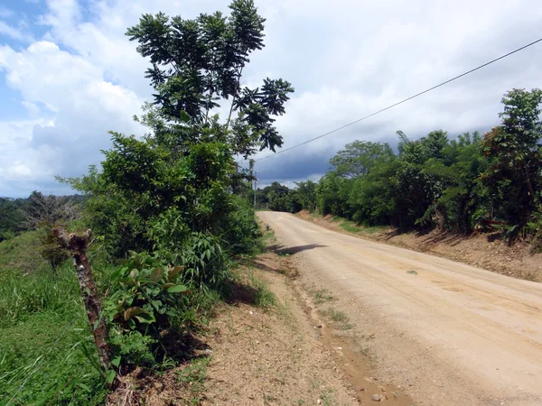 Kosta Rika tepelerde toprak yol — Stok fotoğraf