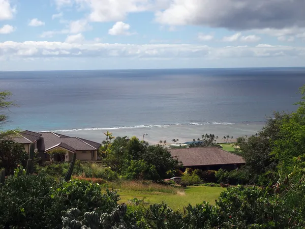 Laukahi Slopes Park, Nice homes, et l'océan Pacifique — Photo