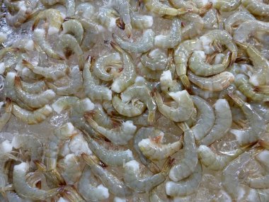 Satılık market de buzda karides