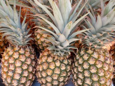 ananas pazarında Satılık