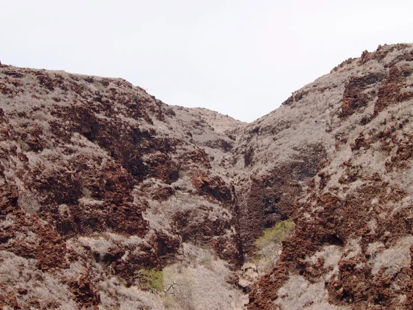 Kırmızı lav rock hillside Maui — Stok fotoğraf