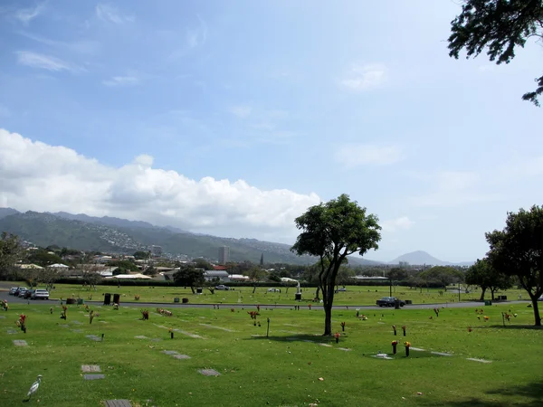 Cementerio con tumbas planas, un pájaro blanco, estatuas y coches al lado — Foto de Stock