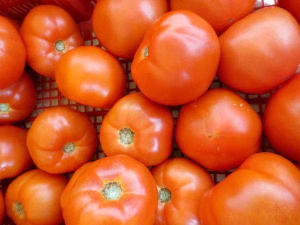 호놀룰루에서 농민 시장에서 판매를 위한 쇠고기 스테이크 토마토 — 스톡 사진