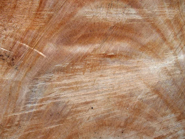 Corte de motosierra tronco del árbol de cerca —  Fotos de Stock