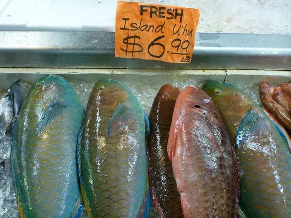 Fresh Island U 'hu Fish for sale 6.99 Lb — стоковое фото