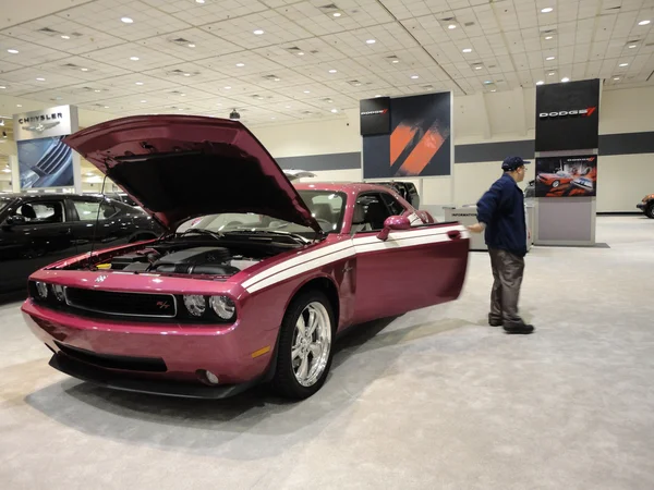 Man closes door to Purple Dodge Charger after looking at car at — Stock Photo, Image