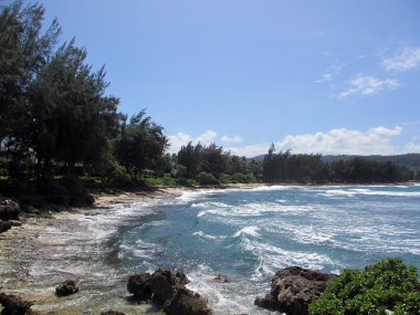 Oahu kuzey kıyısında, hawaii engebeli plaj dalgalar gürültüyle çarpmak