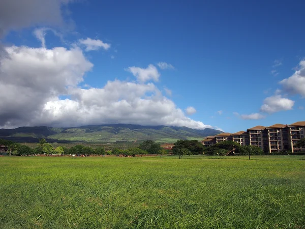 Travnaté hřiště v parku v kaanapali na maui, Havaj — Stock fotografie