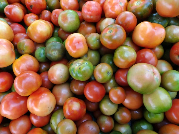 Tomaten von roter, oranger und grüner Farbe — Stockfoto