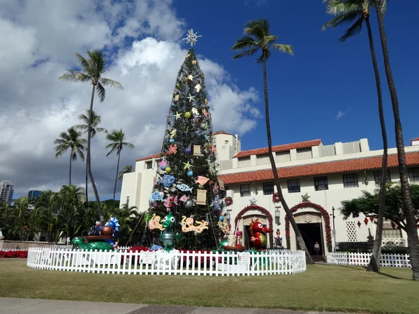 Christmas Tree in front of Honolulu Hale — Stock Photo, Image