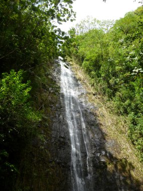 water runs down Manoa Falls waterfall clipart
