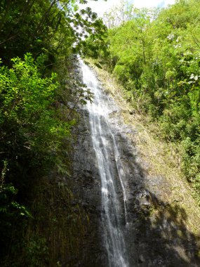 su manoa falls şelale çalışır