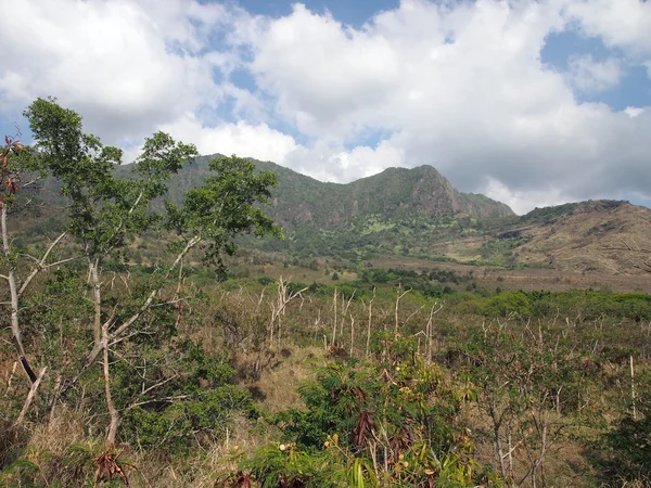 Ağaçlar, fırça ve dağ silsilesi mesafe ile Kuru ot — Stok fotoğraf