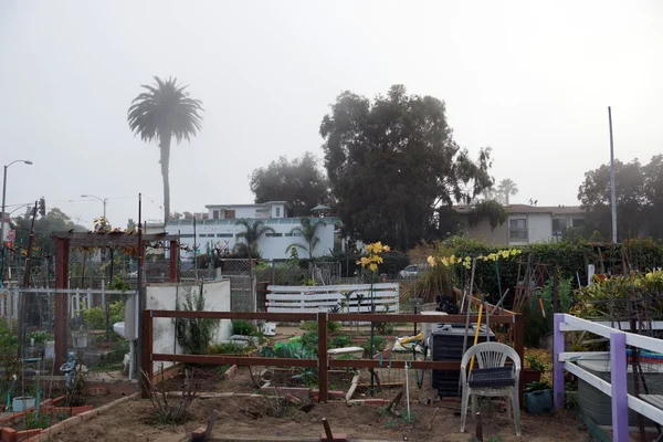 Community Garden in Santa Monica, California