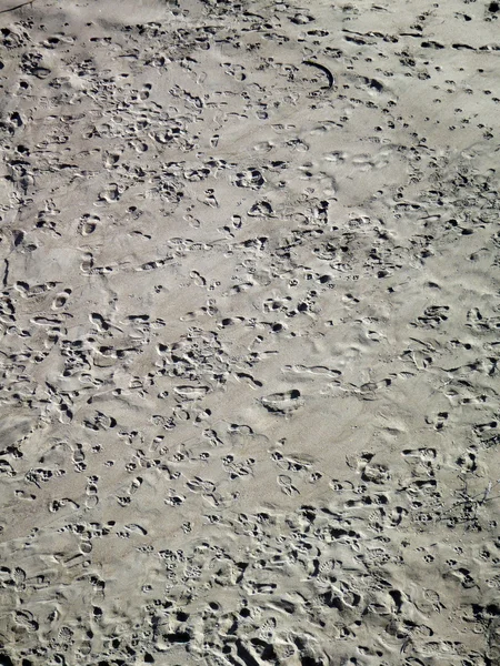 Spousta stopy v písku — Stock fotografie
