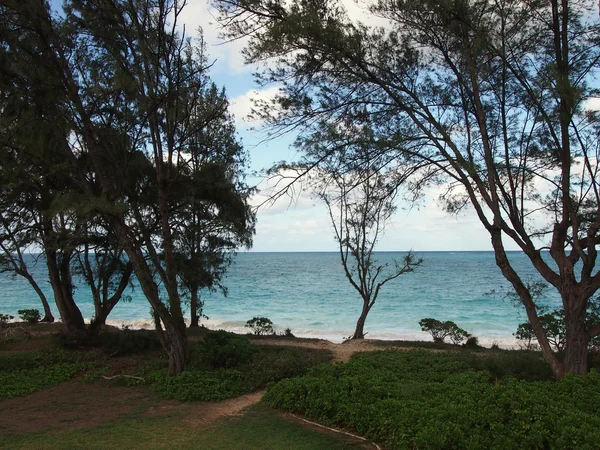Waimanalo Beach with Paths leading to beach — Stock Photo, Image