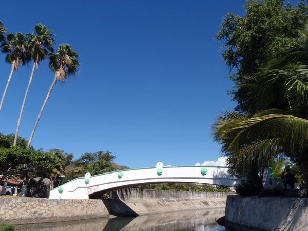 Córrego projetado com ponte que passa e palmeiras no reboque — Fotografia de Stock
