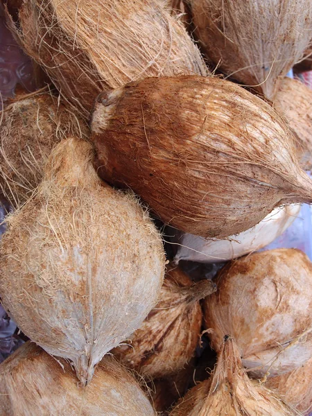 市場での販売のための新鮮なココナッツ — ストック写真