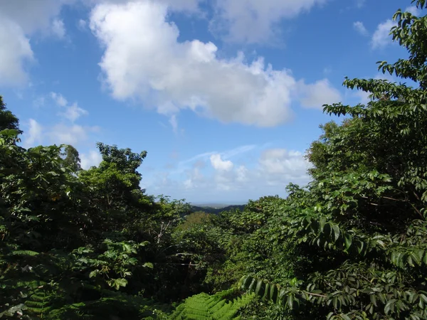 Trees, hills, and mountains leading to the sea landscape in El Y — Stock Photo, Image