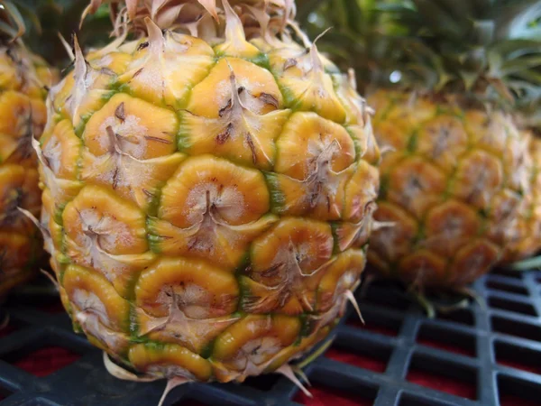 Close-up van rij ananas — Stockfoto