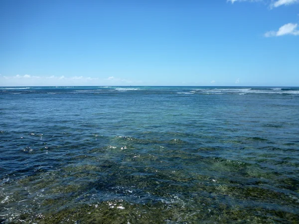 Ondiepe wateren van waikiki — Stockfoto